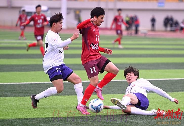 广东湛江队战胜内蒙古呼和浩特队